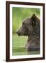 Brown Bear, Katmai National Park, Alaska-Paul Souders-Framed Photographic Print