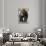 Brown Bear, Katmai National Park, Alaska-null-Stretched Canvas displayed on a wall