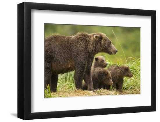 Premium Photographic Print, , large
