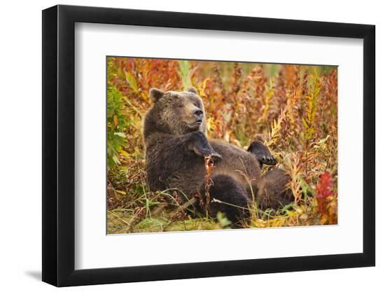 Premium Photographic Print, , large
