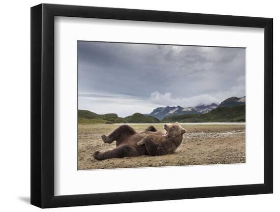 Premium Photographic Print, , large