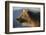 Brown bear, Kronotsky Nature Reserve, Kamchatka, Russia-Valeriy Maleev-Framed Photographic Print