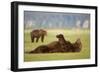 Brown Bear Lying on Back in Meadow at Hallo Bay-Paul Souders-Framed Photographic Print