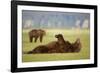 Brown Bear Lying on Back in Meadow at Hallo Bay-Paul Souders-Framed Photographic Print