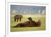 Brown Bear Lying on Back in Meadow at Hallo Bay-Paul Souders-Framed Photographic Print