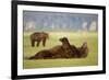 Brown Bear Lying on Back in Meadow at Hallo Bay-Paul Souders-Framed Photographic Print