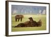 Brown Bear Lying on Back in Meadow at Hallo Bay-Paul Souders-Framed Photographic Print