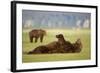 Brown Bear Lying on Back in Meadow at Hallo Bay-Paul Souders-Framed Photographic Print