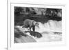 Brown Bear on Alaska-Andrushko Galyna-Framed Photographic Print