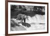 Brown Bear on Alaska-Andrushko Galyna-Framed Photographic Print