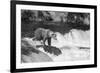 Brown Bear on Alaska-Andrushko Galyna-Framed Photographic Print