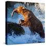 Brown Bear on Alaska-Galyna Andrushko-Stretched Canvas