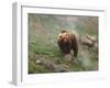 Brown Bear on Grassy Slope, Valley of the Geysers, Kronotsky Zapovednik, Kamchatka, Far East Russia-Igor Shpilenok-Framed Photographic Print