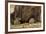 Brown Bear Paws, Katmai National Park, Alaska-Paul Souders-Framed Photographic Print