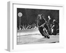 Brown Bear Riding a Motorcycle at the Bertram Mills Circus-null-Framed Photographic Print