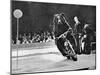 Brown Bear Riding a Motorcycle at the Bertram Mills Circus-null-Mounted Photographic Print