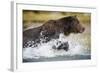 Brown Bear Running Through River at Kinak Bay-Paul Souders-Framed Photographic Print