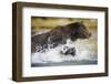 Brown Bear Running Through River at Kinak Bay-Paul Souders-Framed Photographic Print