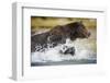 Brown Bear Running Through River at Kinak Bay-Paul Souders-Framed Photographic Print