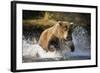 Brown Bear Running Through River at Kinak Bay-Paul Souders-Framed Photographic Print