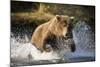 Brown Bear Running Through River at Kinak Bay-Paul Souders-Mounted Photographic Print