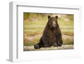 Brown Bear Sitting on Gravel Bar at Kinak Bay-Paul Souders-Framed Photographic Print