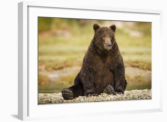 Brown Bear Sitting on Gravel Bar at Kinak Bay-Paul Souders-Framed Photographic Print