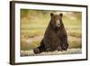 Brown Bear Sitting on Gravel Bar at Kinak Bay-Paul Souders-Framed Photographic Print