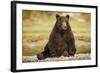 Brown Bear Sitting on Gravel Bar at Kinak Bay-Paul Souders-Framed Photographic Print