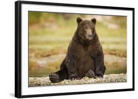 Brown Bear Sitting on Gravel Bar at Kinak Bay-Paul Souders-Framed Photographic Print