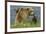 Brown bear sow and cubs, Katmai National Park, Alaska, USA-Art Wolfe-Framed Premium Photographic Print