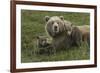 Brown bear sow and cubs, Katmai National Park, Alaska, USA-Art Wolfe-Framed Premium Photographic Print