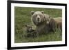 Brown bear sow and cubs, Katmai National Park, Alaska, USA-Art Wolfe-Framed Premium Photographic Print