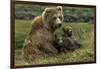Brown bear sow and two cubs, Alaska, USA-Art Wolfe-Framed Photographic Print