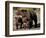 Brown Bear Sow with Cubs Looking for Fish, Katmai National Park, Alaskan Peninsula, USA-Steve Kazlowski-Framed Photographic Print