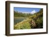 Brown Bear Spring Cub, Katmai National Park, Alaska-Paul Souders-Framed Photographic Print