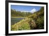 Brown Bear Spring Cub, Katmai National Park, Alaska-Paul Souders-Framed Photographic Print