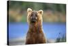 Brown Bear Standing Erect in Katmai National Park-Paul Souders-Stretched Canvas