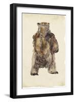 Brown Bear Stare I-Melissa Wang-Framed Art Print