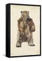 Brown Bear Stare I-Melissa Wang-Framed Stretched Canvas