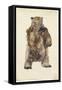 Brown Bear Stare I-Melissa Wang-Framed Stretched Canvas