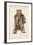 Brown Bear Stare I-Melissa Wang-Framed Art Print