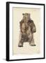Brown Bear Stare I-Melissa Wang-Framed Art Print
