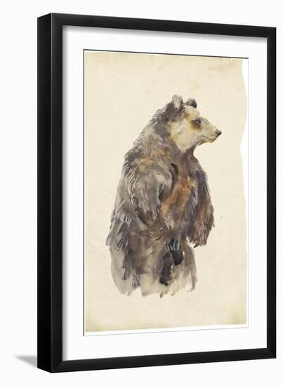 Brown Bear Stare II-Melissa Wang-Framed Art Print