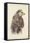 Brown Bear Stare II-Melissa Wang-Framed Stretched Canvas