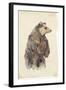 Brown Bear Stare II-Melissa Wang-Framed Art Print