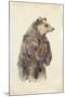 Brown Bear Stare II-Melissa Wang-Mounted Art Print