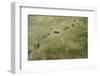 Brown Bear Tracks-W. Perry Conway-Framed Photographic Print