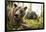 Brown Bear (Ursus Arctos), Finland, Scandinavia, Europe-Janette Hill-Framed Photographic Print