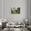 Brown Bear (Ursus Arctos), Finland, Scandinavia, Europe-Janette Hill-Photographic Print displayed on a wall